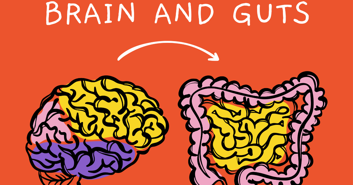 A colorful illustration showing a brain and a gut, with an arrow connecting them, representing the brain-gut connection.