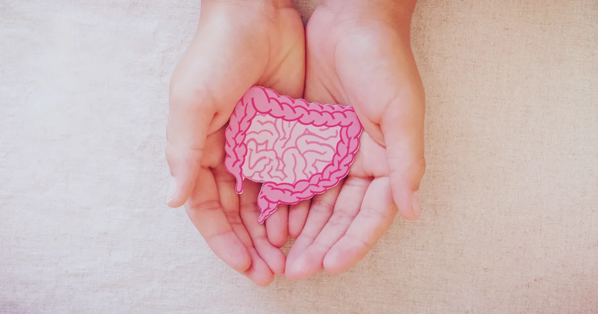 Hands holding an illustration of intestines, highlighting the link between Parkinson's and gut health.